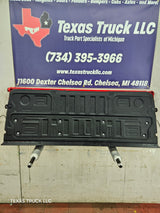 2023-2025 Ford Super Duty F250 F350 F450 F550 Tailgate - Red