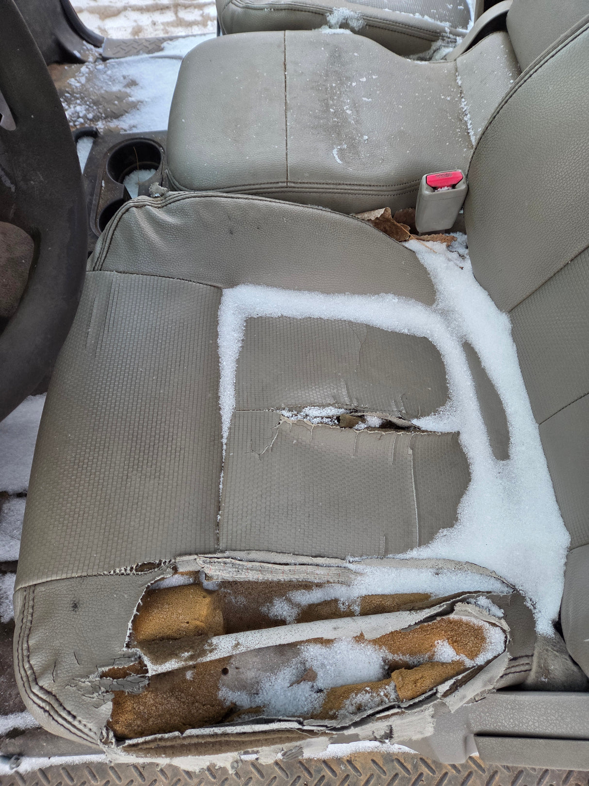 2009-2014 Ford F150 Extended Cab 4 Door Truck Cab