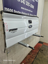 2009-2014 Ford F150 Tailgate