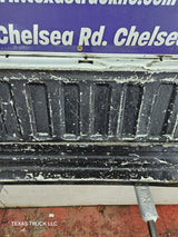 2009-2014 Ford F150 Tailgate