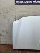 1999-2007 Ford Super Duty Hood F250 F350 F450 F550