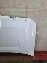 2009-2014 Ford F150 Hood