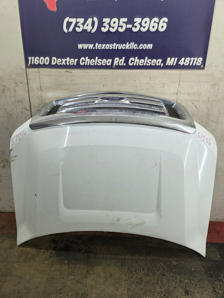 2009-2014 Ford F150 Hood