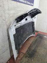 2009-2014 Ford F150 Hood