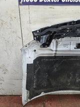 2009-2014 Ford F150 Hood