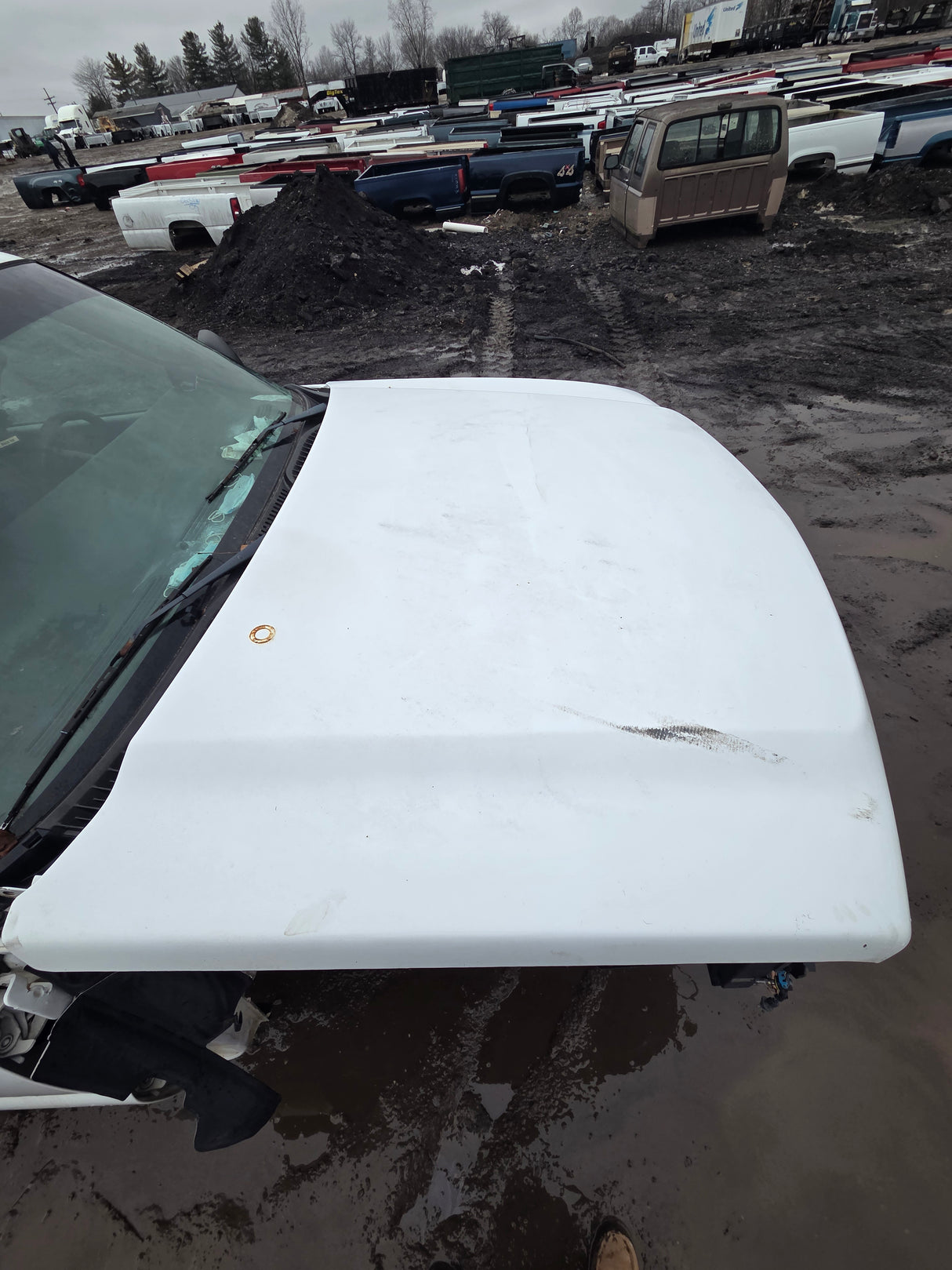 1999-2007 Chevrolet Silverado / GMC Sierra 1500 2500 HD 3500HD Regular Cab Body - Summit white