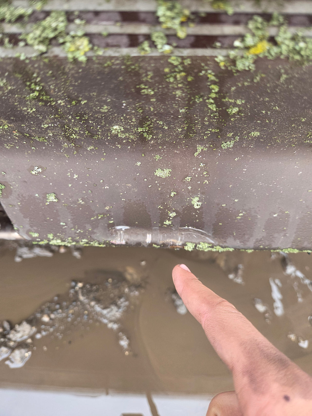 1992-1997 Ford OBS F250 F350 F450 F550 Powerstroke Extended Cab