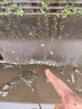 1992-1997 Ford OBS F250 F350 F450 F550 Powerstroke Extended Cab