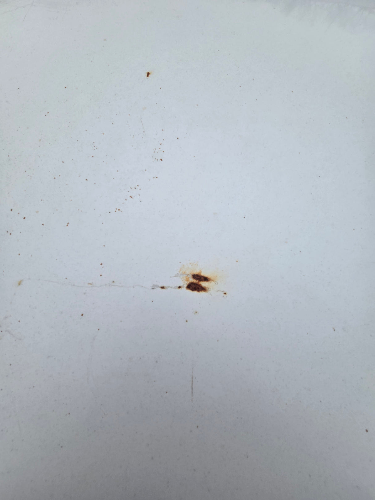 1999-2007 Ford Super Duty F250 F350 F450 F550 2 Door Regular Cab