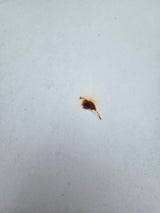 1999-2007 Ford Super Duty F250 F350 F450 F550 2 Door Regular Cab