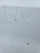 1999-2010 Ford Super Duty F250 F350 6' 9" Short Truck Bed