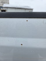 1999-2010 Ford Super Duty F250 F350 6' 9" Short Truck Bed