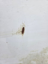 1999-2010 Ford F250 F350 Super Duty 8' Long Truck Bed