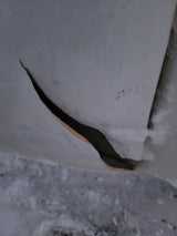 1994-2002 Dodge Ram 3500 2nd Gen Dually 8' Long Truck Bed