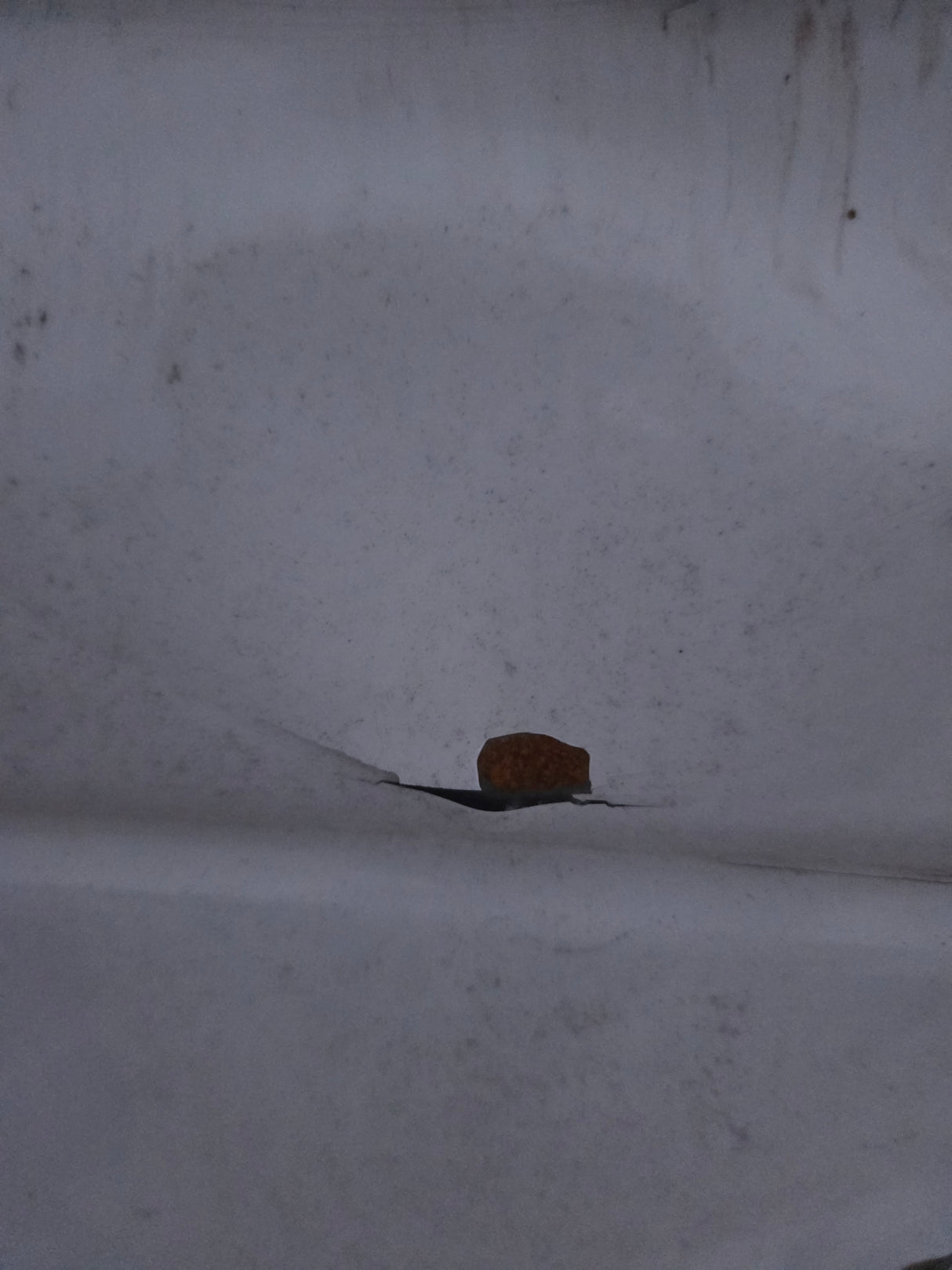 1994-2002 Dodge Ram 3500 2nd Gen Dually 8' Long Truck Bed