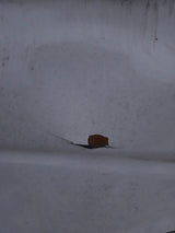 1994-2002 Dodge Ram 3500 2nd Gen Dually 8' Long Truck Bed