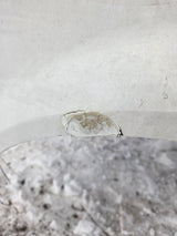 1987-1997 Ford OBS F350 8' Dually Bed