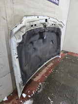 1999-2007 Ford Super Duty Hood F250 F350 F450 F550