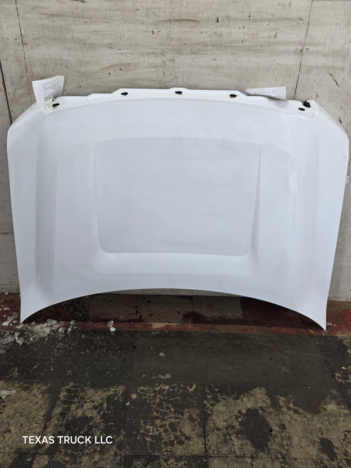 2009-2014 Ford F150 Hood - Oxford White