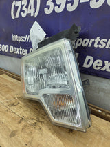 2009-2014 Ford F150 RH Passenger Side Headlight Halogen - DL3Z13008A, DL3Z13008EB