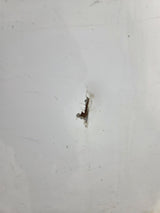 2003-2008 Dodge Ram 1500 2500 3500 3rd Gen 8' Long Bed