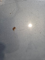 1988-1998 Chevrolet / GMC 1500 2500 3500 OBS 8' Long Truck Bed