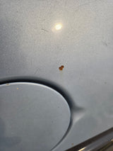 1988-1998 Chevrolet / GMC 1500 2500 3500 OBS 8' Long Truck Bed