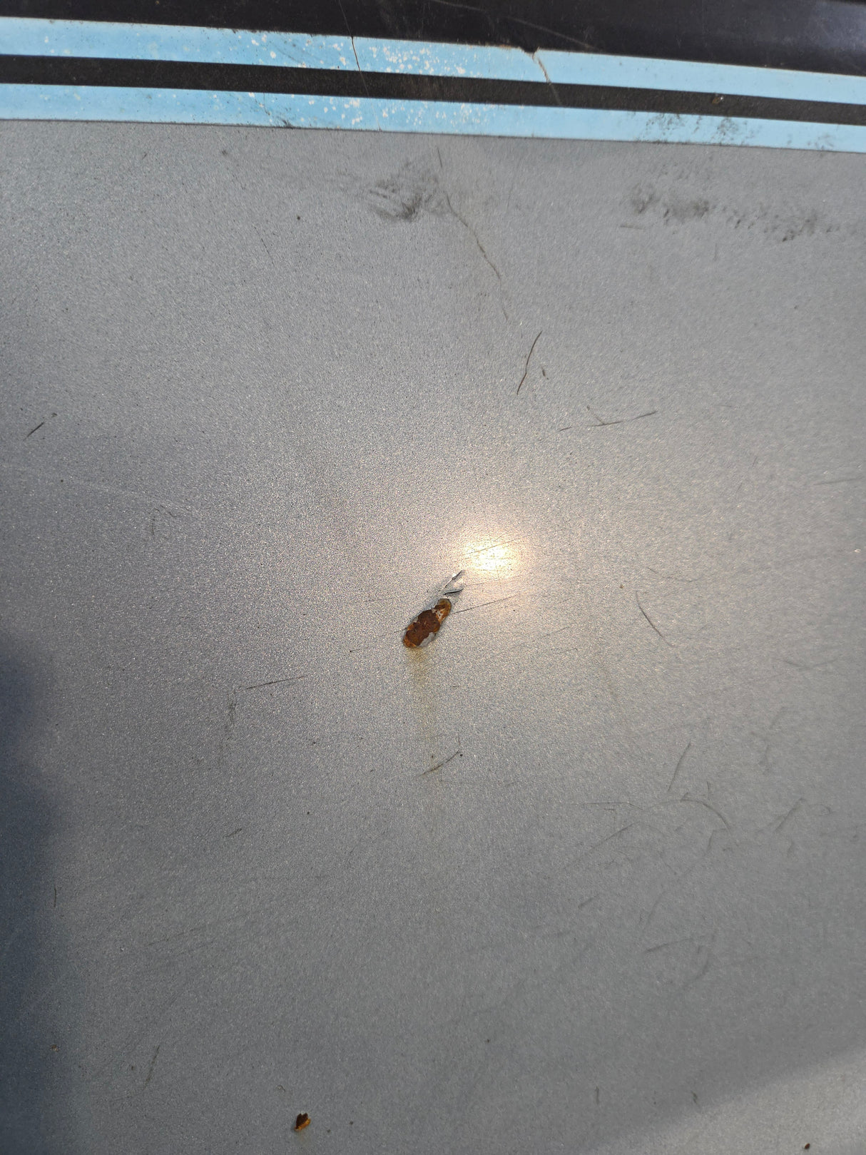 1988-1998 Chevrolet / GMC 1500 2500 3500 OBS 8' Long Truck Bed