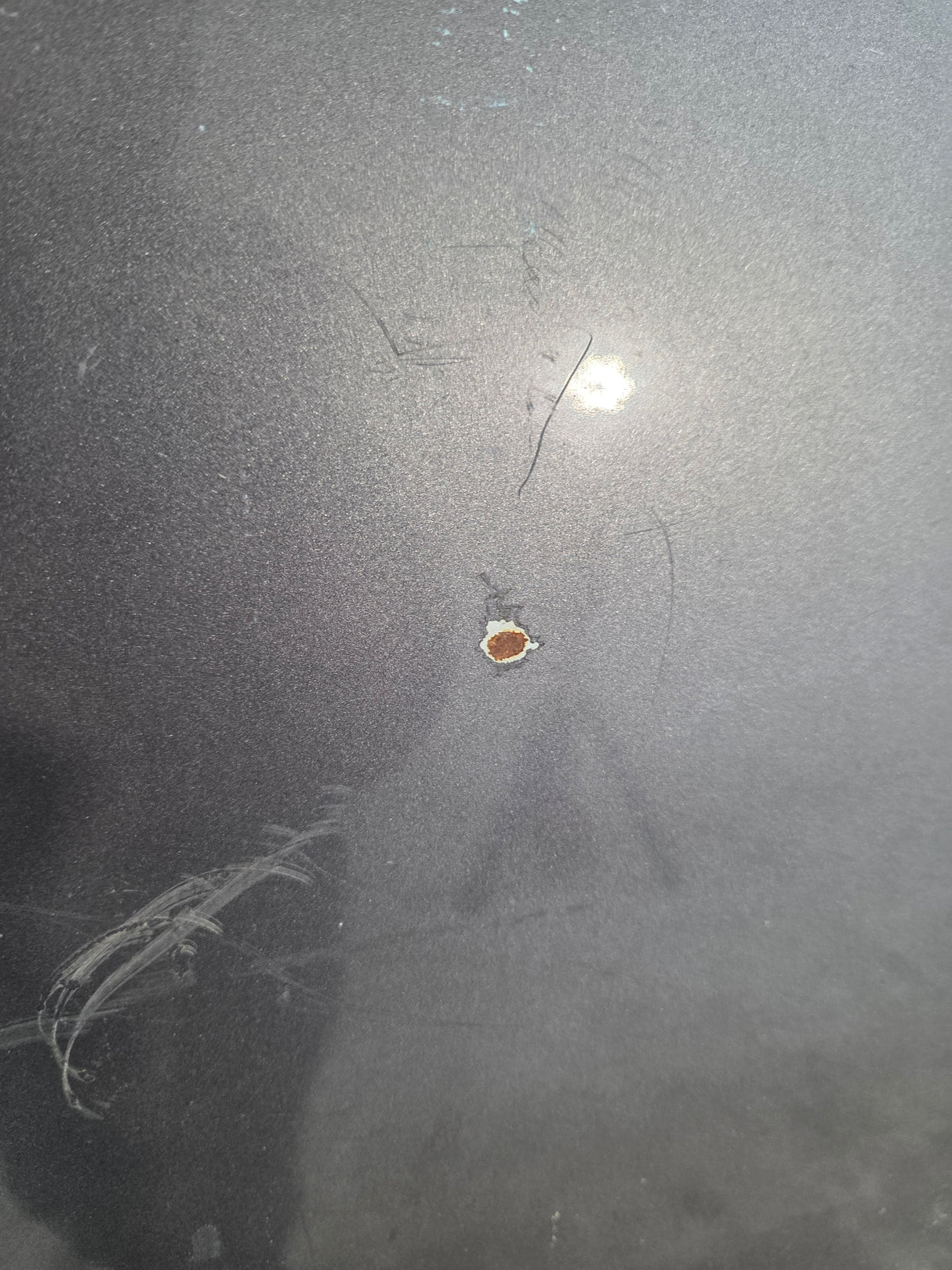 1997-2003 Ford F150 8' Long Bed - Grey