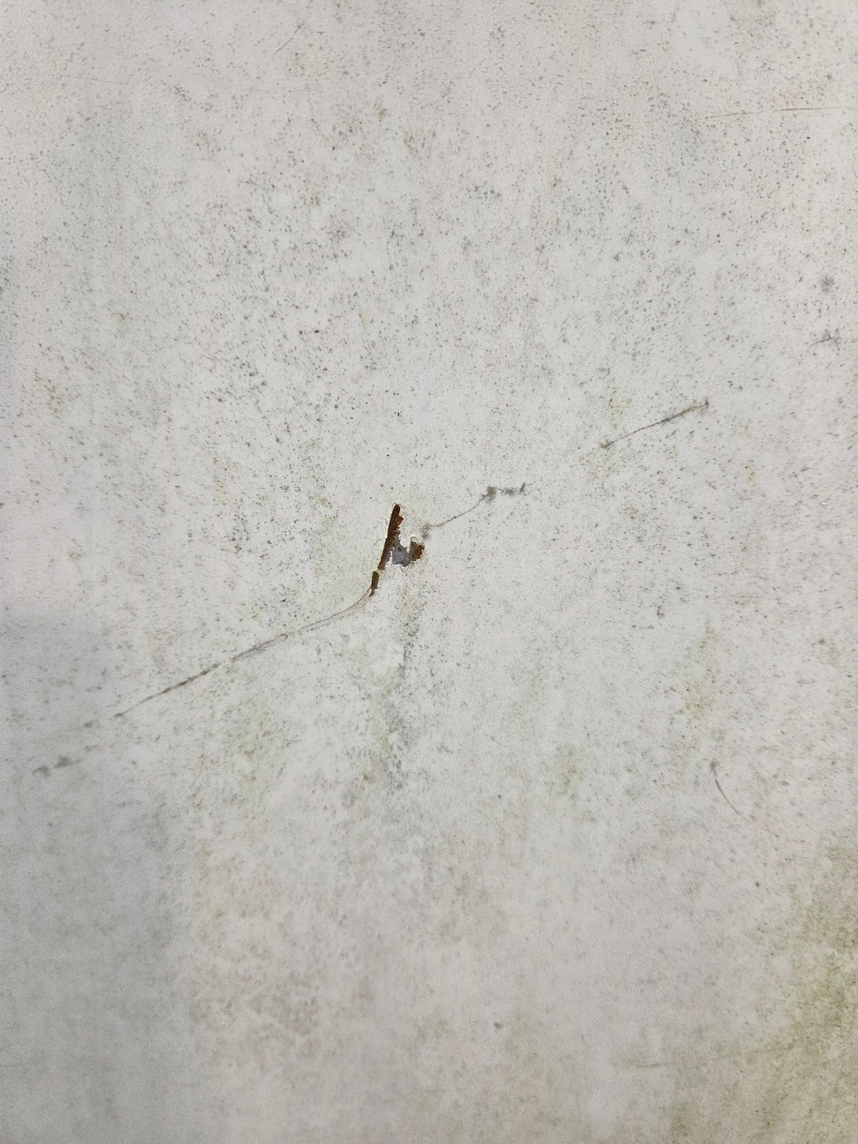 1997-2003 Ford F150 8' Long Bed - White