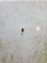 1997-2003 Ford F150 8' Long Bed - White