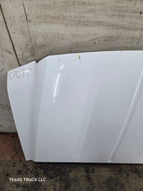 1999-2007 Ford Super Duty Hood F250 F350 F450 F550