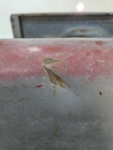 1980-1986 Ford F100 F150 F250 F350 6' 9" Short Bed