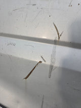 1987-1997 Ford F150 F250 F350 OBS 6' 9" Short Truck Bed