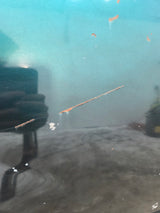 1988-1998 Chevrolet / GMC 1500 2500 3500 OBS 6' 6" Short Truck Bed