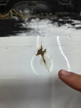 2003-2008 Dodge Ram 1500 2500 3500 3rd Gen 6' 4" Short Truck Bed