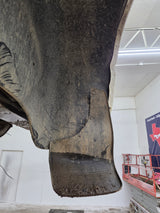 1994-2002 Dodge Ram 1500 2500 3500 2nd Gen 6' 4" Short Truck Bed