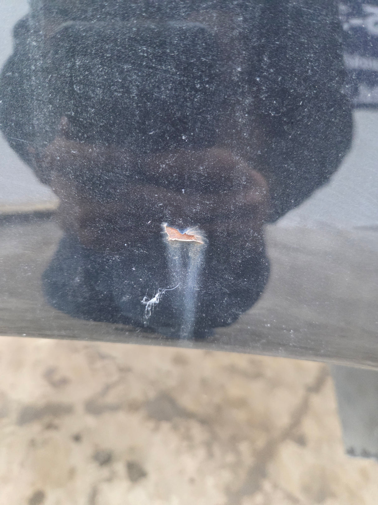 2003-2008 Dodge Ram 1500 2500 3500 3rd Gen 6' 4" Short Truck Bed