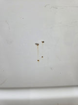 1994-2002 Dodge Ram 1500 2500 3500 2nd Gen 6' 4" Short Truck Bed