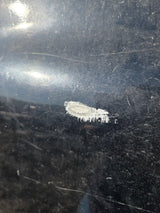 1997-2004 Dodge Dakota 2nd Gen 6' Short / Long / Mid size Bed