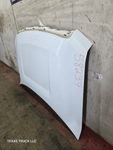 2009-2014 Ford F150 Hood