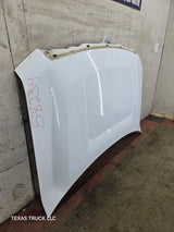 2009-2014 Ford F150 Hood