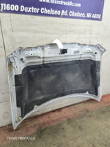 2009-2014 Ford F150 Hood