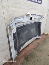 2009-2014 Ford F150 Hood