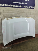2009-2014 Ford F150 Hood