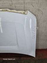 2009-2014 Ford F150 Hood