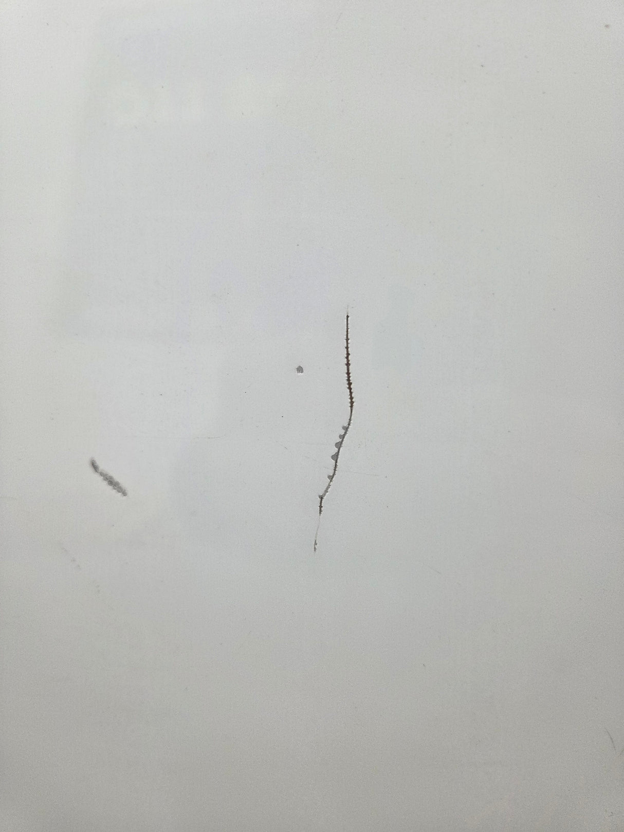 2009-2014 Ford F150 6' 6" Short Truck Bed