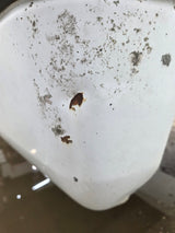 1994-2002 Dodge Ram 1500 2500 3500 2nd Gen 6' 4" Short Truck Bed