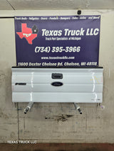 2009-2014 Ford F150 Tailgate