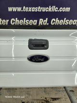 2009-2014 Ford F150 Tailgate